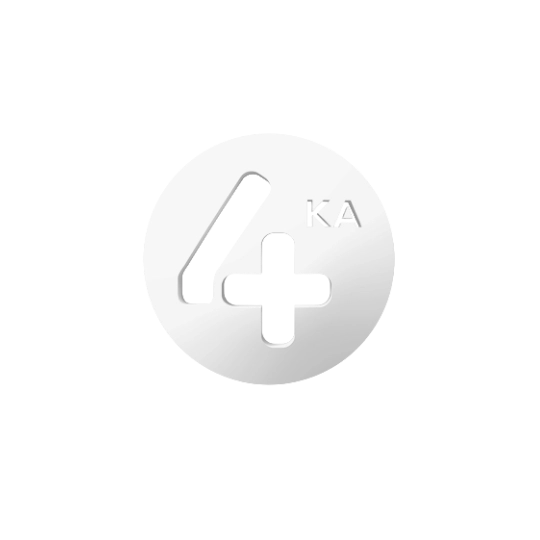 Partner 5